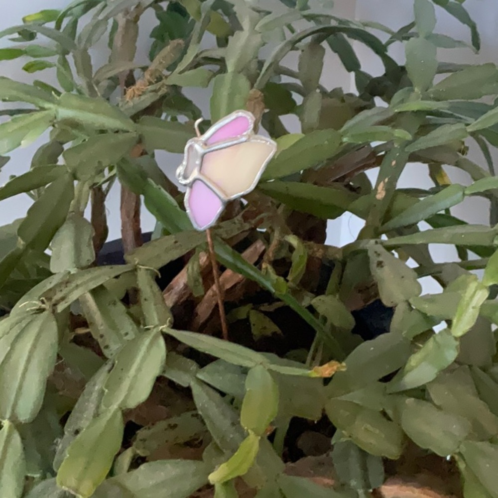 Butterfly, Plant companion, give your plant a buddy Handcrafted Stained-glass